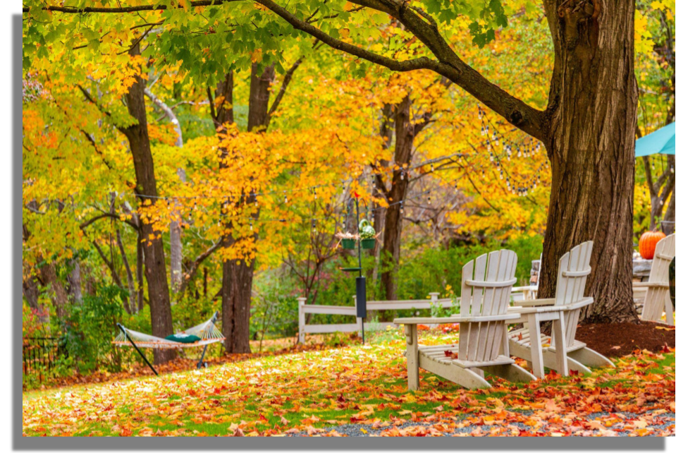 Farmington Maine Community Guide Allied Realty